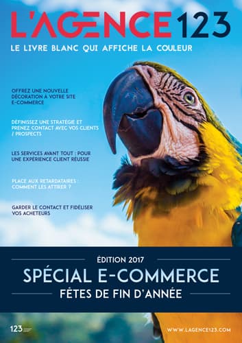 Livre blanc l'Agence123 Site E-commerce spécial fin d'année