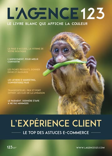 Livre blanc l'Agence123 Site E-commerce top astuces ecommerce