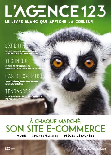 Livre blanc l'Agence123 Site E-commerce par secteur