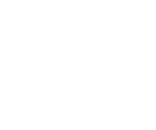 logo Google Partner