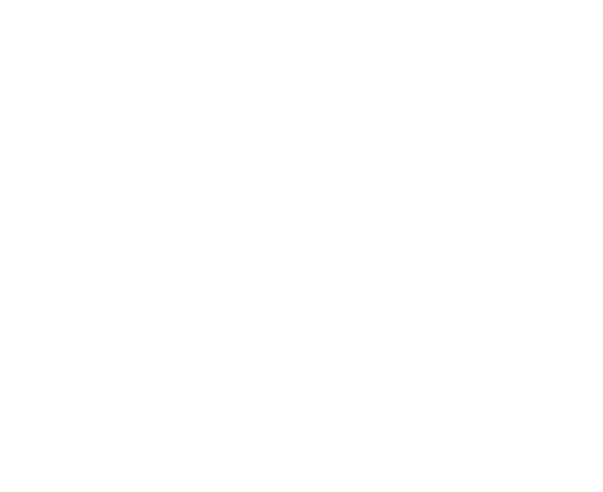 logo opquast - qualité web