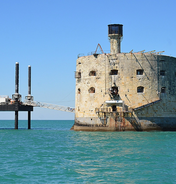 Agence web La Rochelle : le partenaire de votre stratégie digitale