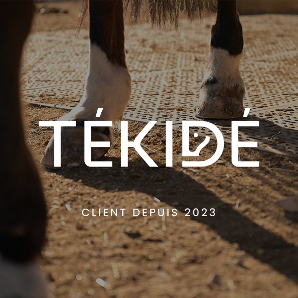 Tékidé 